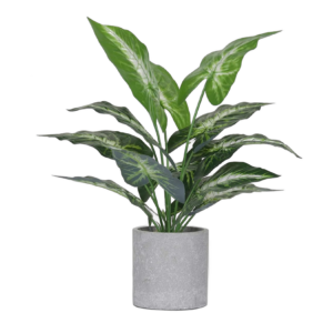 Artificial Plants (Type: Potted)