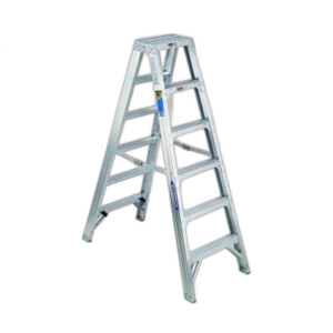 Construction Ladder