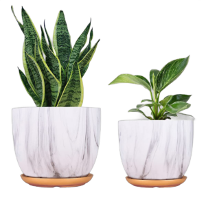 Indoor Planters (Type: Ceramic)